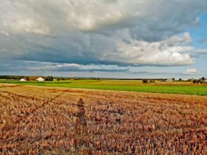 Sommerlandschaft Aichhalden
