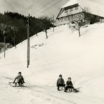 106 Schlittenfahren beim Bühlhof im Gelbach um 1960
