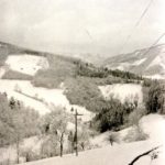 107 Blick vom Wölflehof auf den Karleshof und den Bächlehof im Frohnbach um 1950