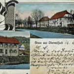 408 AK Wolfach mit Kaufhaus Welle und Schulhaus um 1930